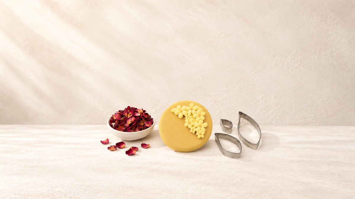 Nature — produits de la collection sur fond crème Patissland