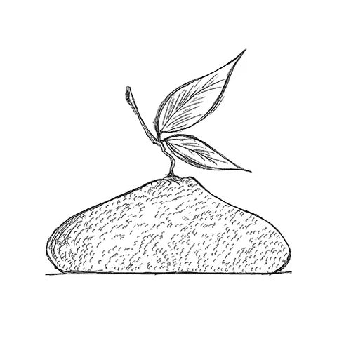 Moule Citron KE057 by Cédric Grolet