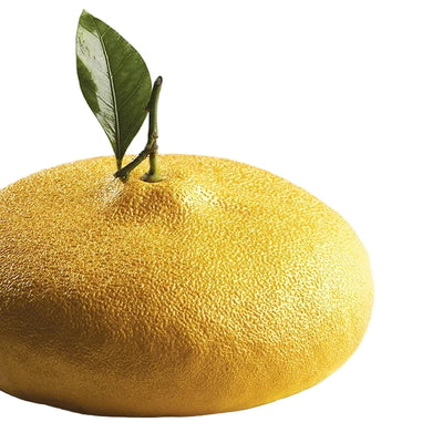 Moule silicone Pavoni KE057 Citron Cédric Grolet