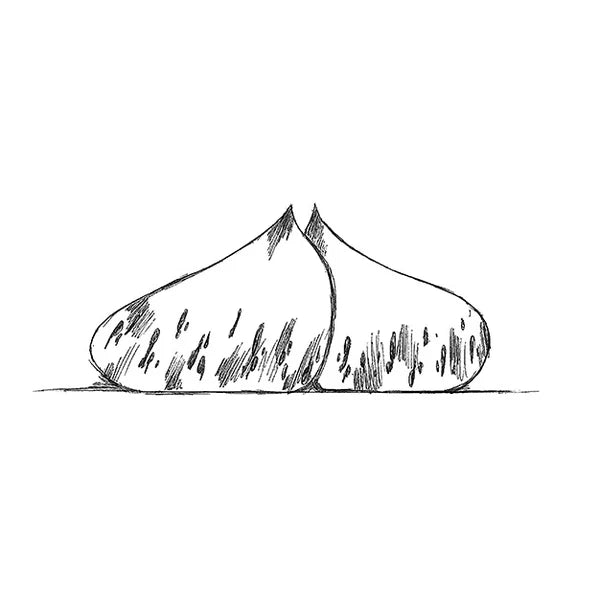 Moule Marron KE056 by Cédric Grolet