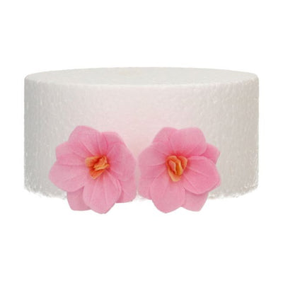 Set/18 Fleurs Comestibles Hortensias Roses