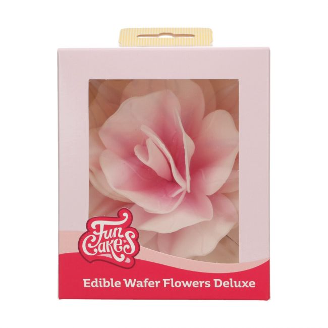 Fleur Comestible Pastella Rose Ombre