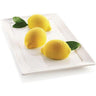 Zitronen-Trompe-l'œil-Form 106 ml – Delizia al Limone