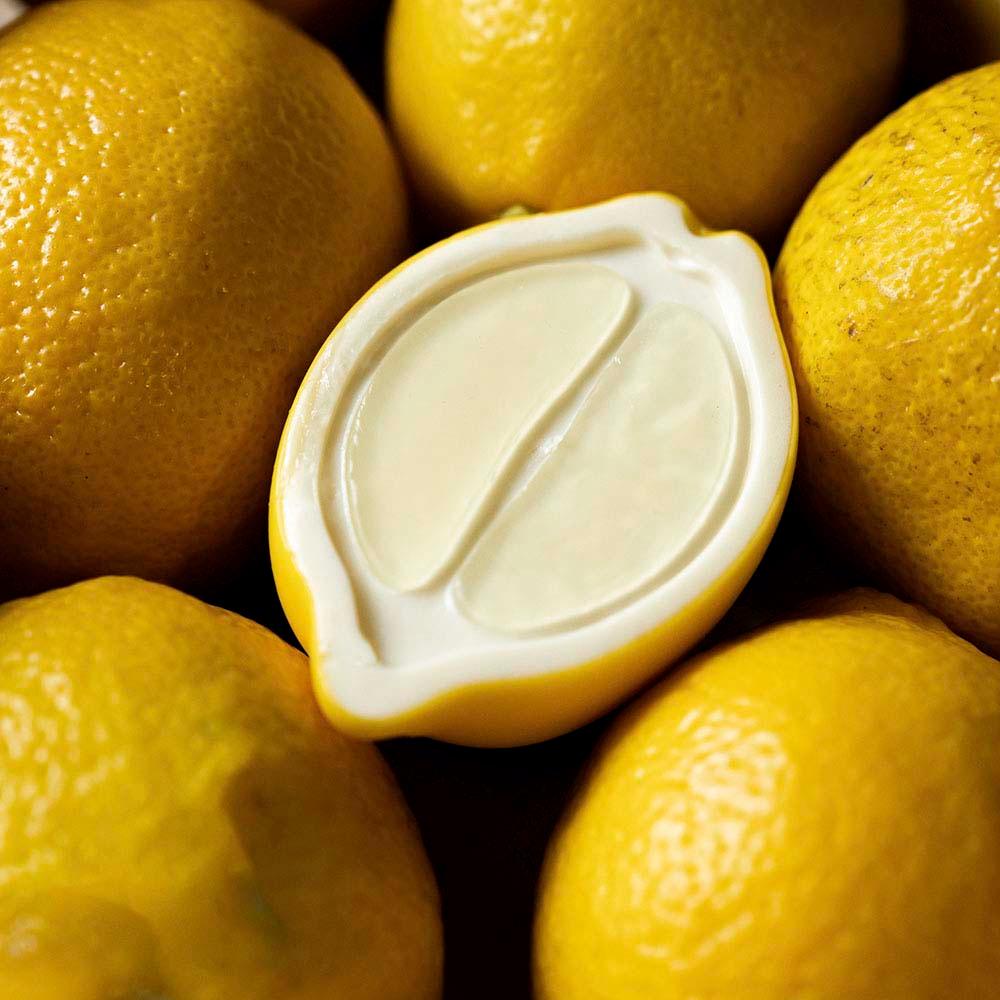 Moule GG070S Half Lemon by Davide Oldani - PAVONI