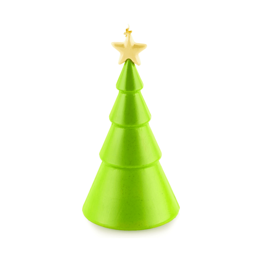 Moule Winter Tree