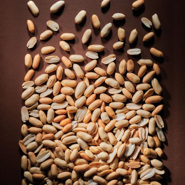 Cacahuètes grillées entières – matière première de la pâte