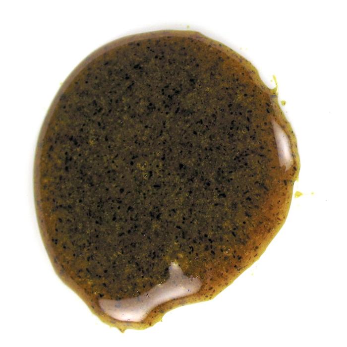 Pâte Concentrée de Vanille Bourbon – 1,5 kg