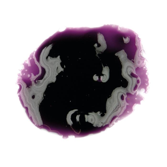 Pâte concentrée de violette – 1,5 kg – Sosa Ingredients