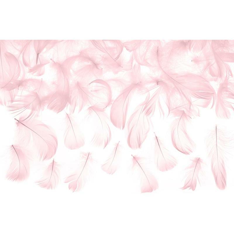 Plumes Décoratives - Rose Clair 3g