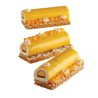 Moule silicone Pavoni PX058 Tronchetto Mignon Pavoflex