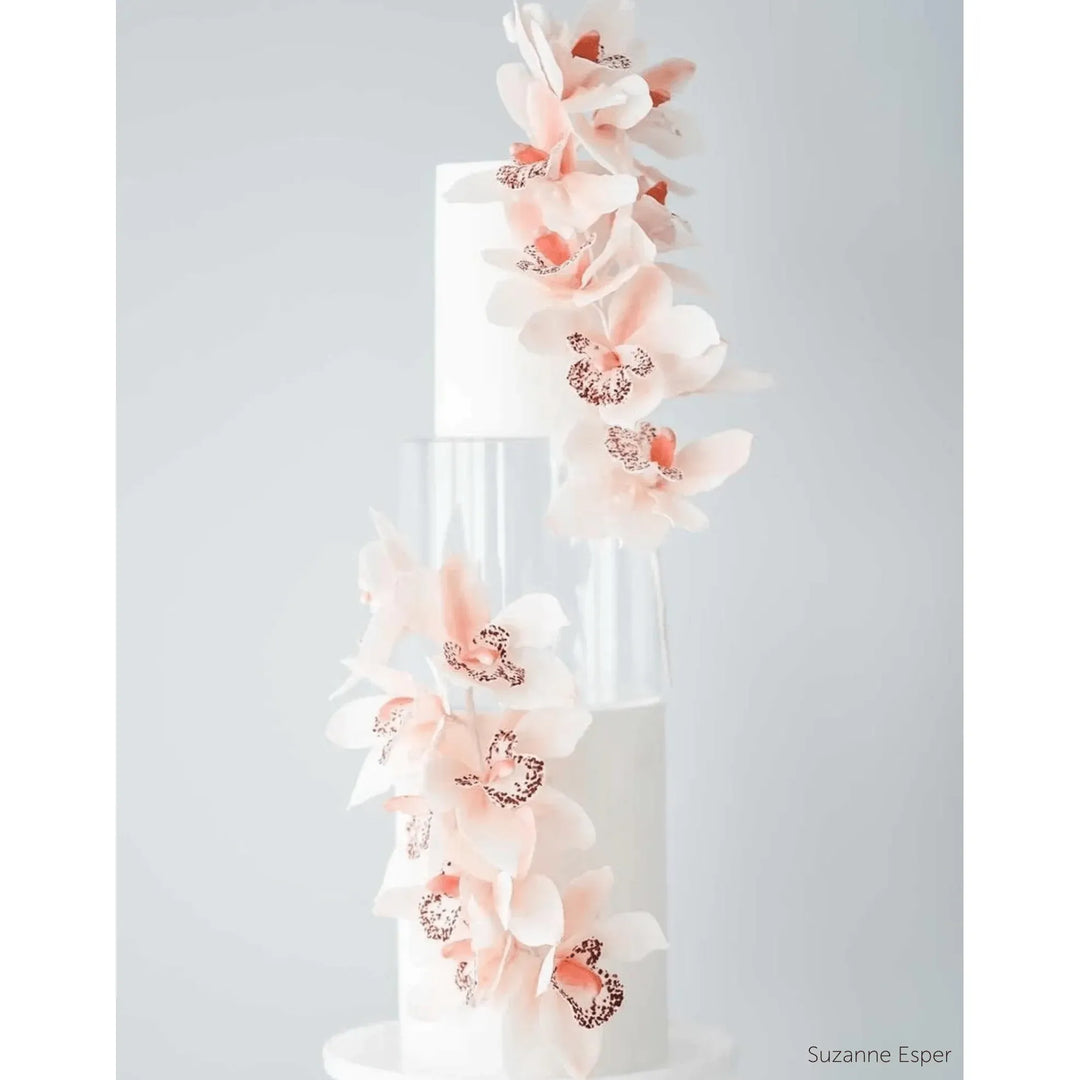 Niveau Acrylique Rond Remplissable - 15 cm